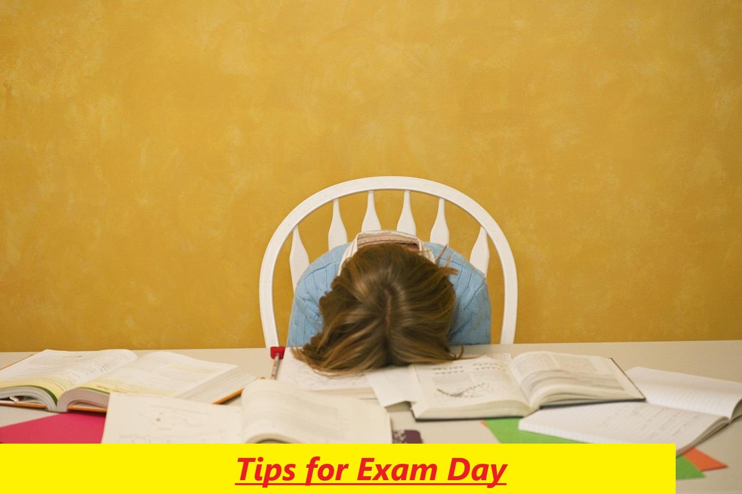 C-efm exam prep study guide